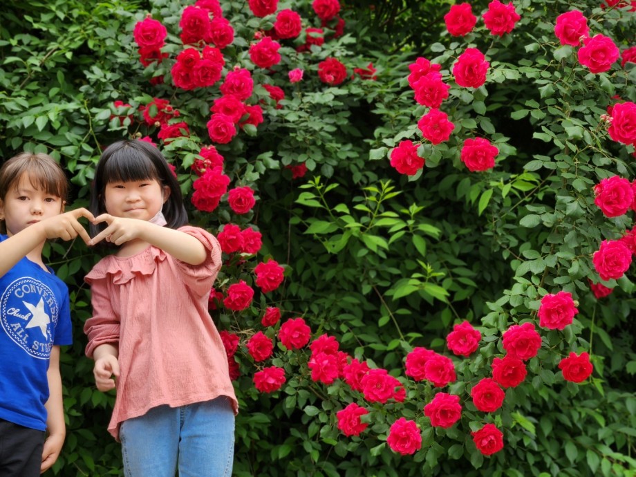 a43f9135355fd8f1303a80eabcbd048e_1685554782_3177.jpg